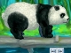 Cheerful Panda